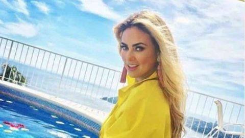 Aracely Arámbula sin sostén muestra su musculatura