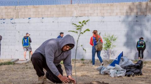 Unen Fuerzas Jóvenes en Rehabilitación de Unidades Deportivas