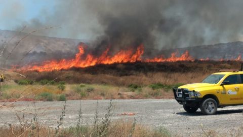 Combate Conafor incendio forestal en El Sauzal