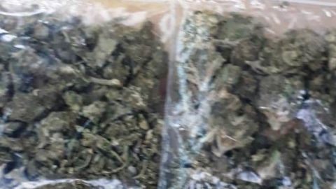 Aseguran Grupos Especiales envoltorios de marihuana