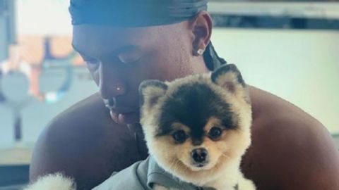 Sturridge ofrece 33 mil euros a quien encuentre a su perro desaparecido