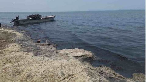 Contaminación y pestilencia alejan a turistas de playa en Oaxaca