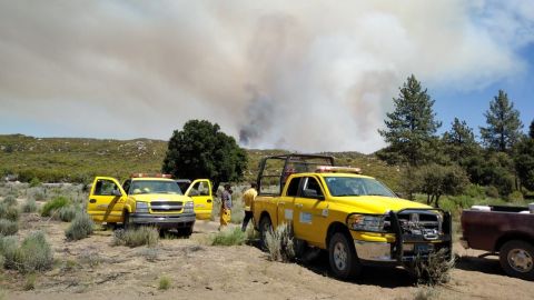 Sigue incendio forestal en Valle de Los Pinos de Tecate