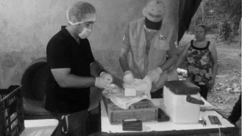 Intoxicación de 21 personas en Sinaloa fue por una bacteria en quesos