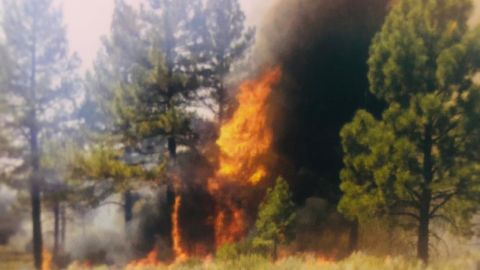 Sofocan por completo incendio en Tecate