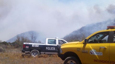 Incendio forestal en Ensenada