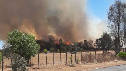 Combaten incendio forestal en San Antonio de las Minas por incendio