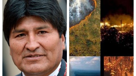 Evo Morales contratará avión para salvar al Amazonas