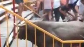 VIDEO: Un toro salta a las gradas y embiste a varias personas