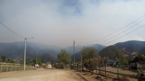 Desalojan restaurante de la Ruta del Vino por incendio forestal