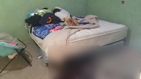 FOTOS: Matan a 2, dejan vivo a cachorro