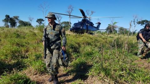 Destruyen 69 toneladas de cannabis en operación paraguaya junto con Argentina