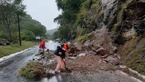 Tormenta ''Narda'' deja derrumbes y caída de árboles en Guerrero