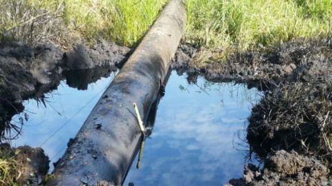 Pep Boys Pagará $3.7 Millones por Violar Leyes de Protección Ambiental