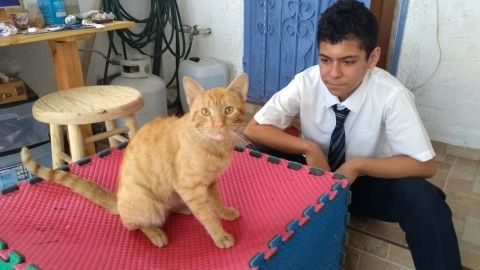Celebran el Día Mundial de Las Mascotas