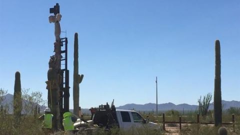 Remueven históricos cactus en desierto de Arizona para colocar muro de Trump