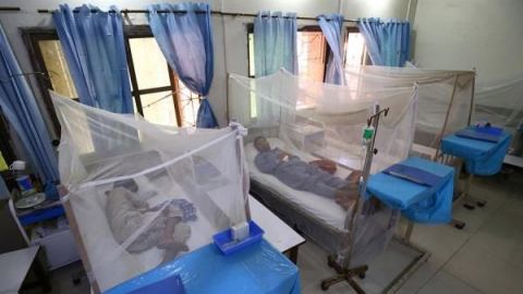 Sube a 22 la cifra de muertes por dengue en Nicaragua este año