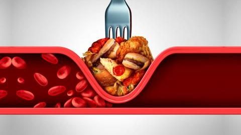 ¿Puedo comer grasas si tengo los triglicéridos altos?