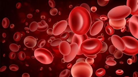 Alimentos que aumentan las plaquetas en la sangre
