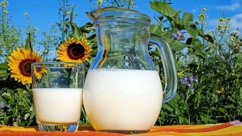 Beneficios y mitos de la leche