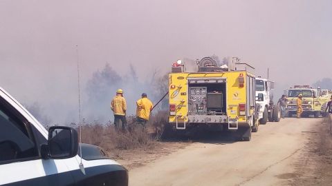 FOTOS: Combaten unidades tres incendios forestales