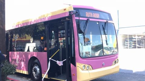 Inicia funciones Línea Rosa en Tijuana