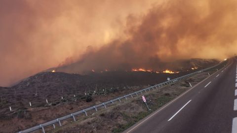 Viviendas  afectadas por incendios forestales