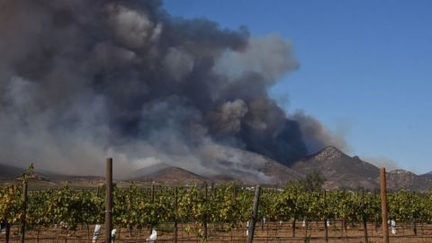 Saldo blanco hasta el momento en Valle de Guadalupe por incendios forestales
