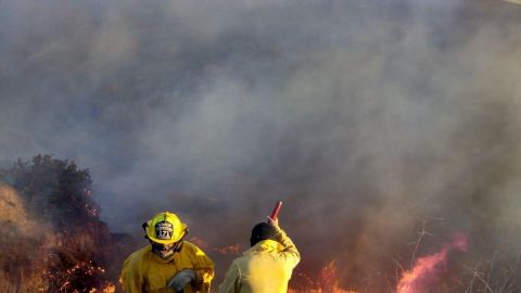 Van 9 mil hectáreas afectadas por fuego en 4 municipios