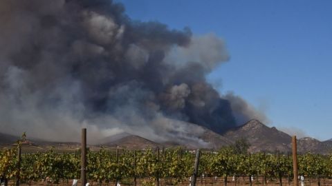 Realizan mediciones en predios afectados por incendios forestales