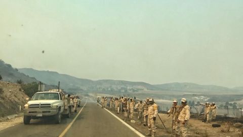 Controlados incendios forestales en la zona norte y sur de Ensenada