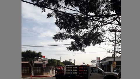 #VIDEO Vientos de Santa Ana causan estragos en Tijuana