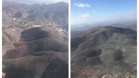 Liquidados al 100% incendios en Baja California