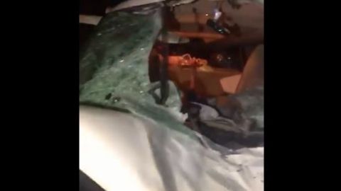 VIDEO: Crazy Town comparte video de alce muerto tras sufrir accidente