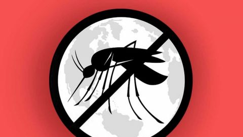 Paludismo, enfermedad de picadura de mosco que puede llevar la muerte