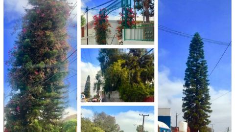 El Cañón de la Piedrera y un paseo por las nubes