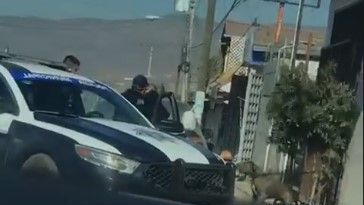 Resultado de imagen para policia mata a perro en tijuana