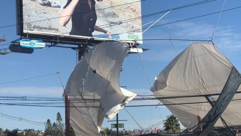 Carpa sale por volando por los aires en la avenida Hipódromo