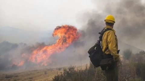 Evacuan a 4 mil personas en California por nuevo incendio forestal