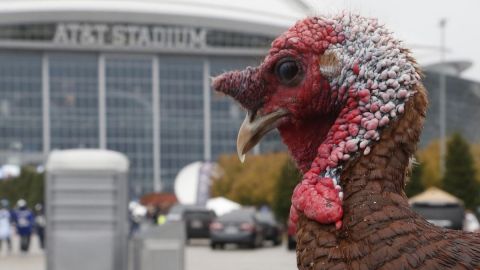 El origen de la tradición del Thanksgiving Day y la NFL