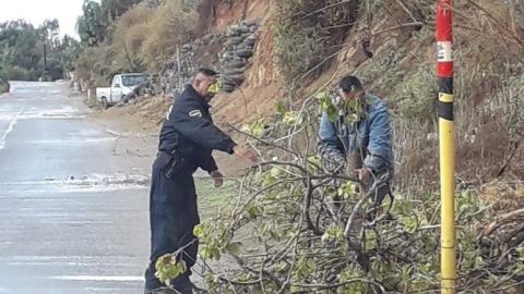 Caídas de árboles e inundaciones dejan lluvias en zona sur de Ensenada