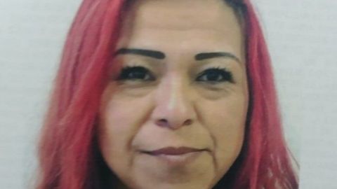 Pesquisa | Luz María Encinas Villegas