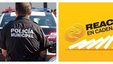 Reacción en Cadena: ¿Qué está pasando con la policía municipal de Tijuana?