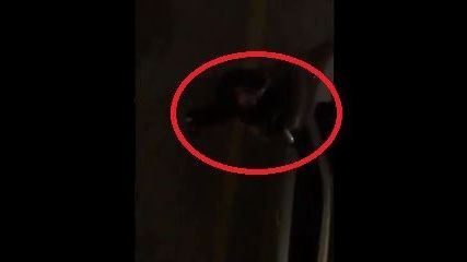VIDEO: #LordMantenimiento | Hombre daña camioneta de mujer en Zapopan