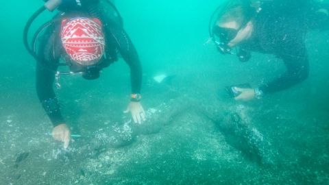 Encuentran dos anclas del siglo XVI en la costa de Veracruz