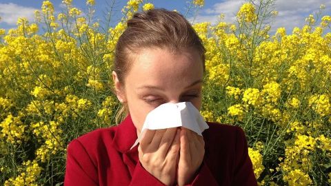 Emiten recomendaciones para prevenir alergias