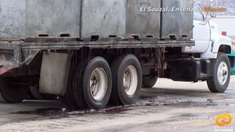 Reportaje Especial: Contaminación afecta a trabajadores de El Sauzal