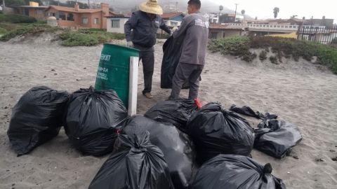 Recolección de basura en playas superan las 185 toneladas