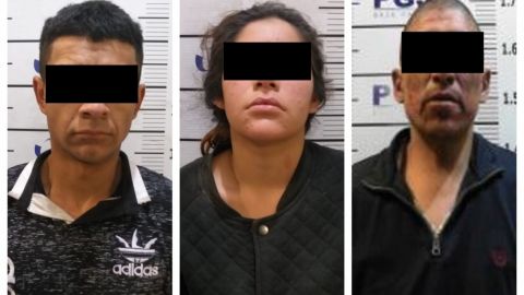 Tres ratas en prisión y vinculados a proceso