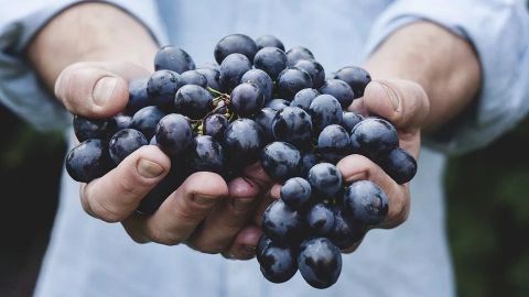 Descubre por qué se comen 12 uvas a medianoche y cuál es su origen